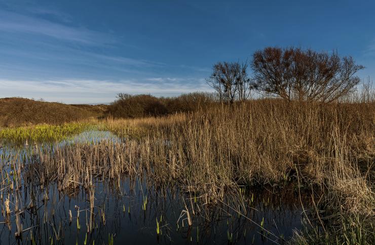 Artspace_Atelier_Galerie B7_ID5065_b6.jpg