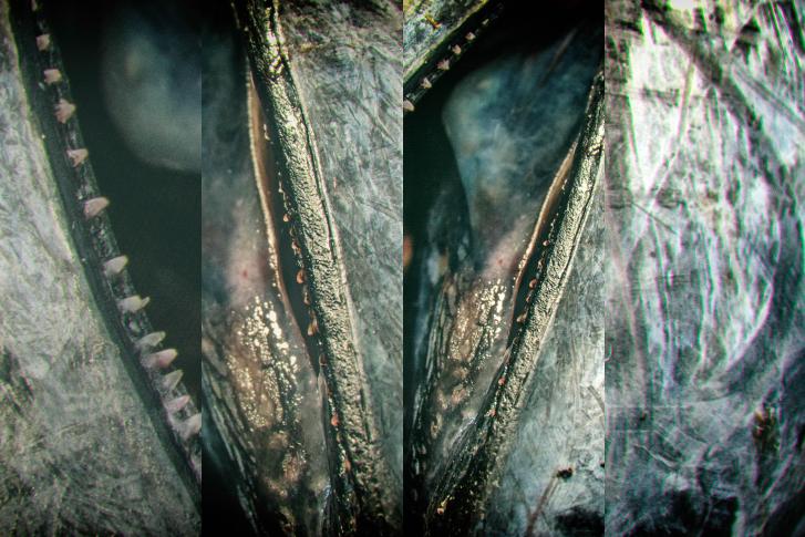 Artspace_Atelier_Werkstattgalerie Tam Uekermann, Köln Süd_ID5054_b5.jpg