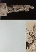 image archive land_erik kessels.jpg