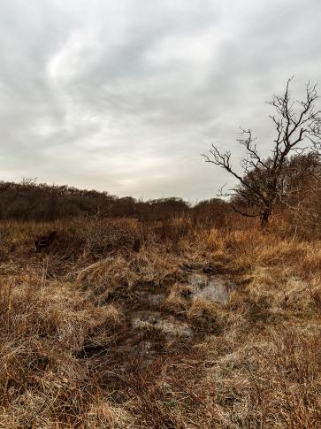 Artspace_Atelier_Galerie B7_ID5065_b5.jpg