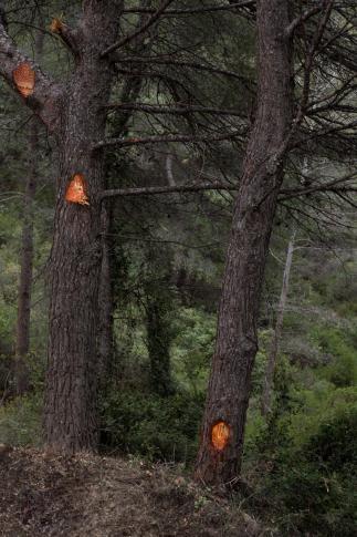 Museum_Institution_Kölnisches Stadtmuseum_ID5056_b4.jpg