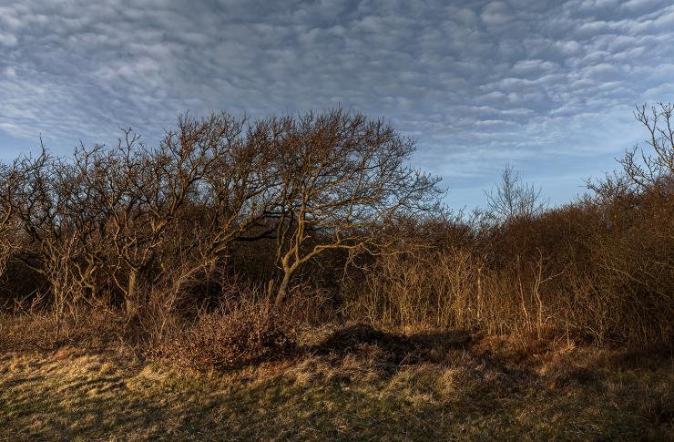 Artspace_Atelier_Galerie B7_ID5065_b1.jpg