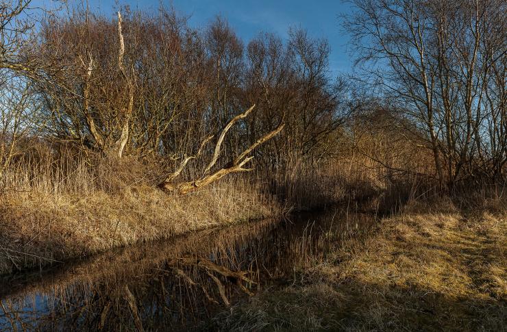 Artspace_Atelier_Galerie B7_ID5065_b4.jpg