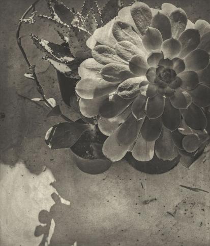 Dine_Jim_Entrada Drive_3 klein.jpg